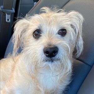 Meet your Posher, Brett